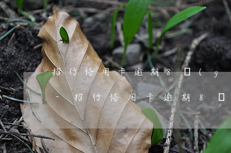 招行信用卡逾期8個(gè)月了還能用嗎-招行信用卡逾期8個(gè)月了還能用嗎