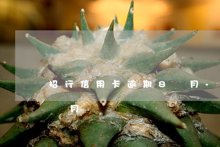 招行信用卡逾期8個月-招行信用卡逾期8個月