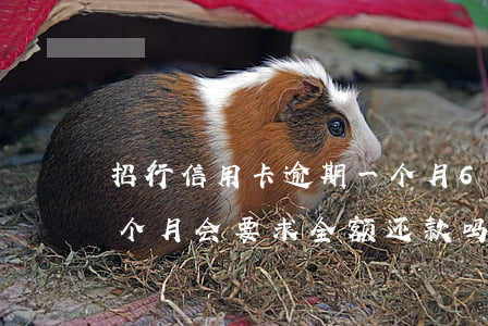 招行信用卡逾期一个月6(招行信用卡逾期一个月会要求全额还款吗)