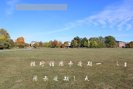招行信用卡逾期一個(gè)月呆滯(招行信用卡逾期1天)