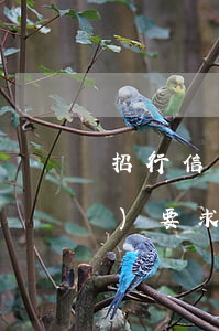 招行信用卡逾期一個(gè)月會(huì)要求全額還款嗎-招行信用卡逾期一個(gè)月會(huì)要求全額還款嗎