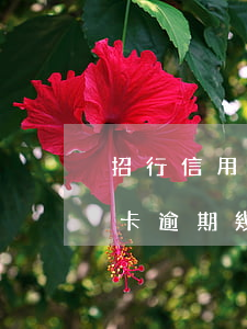 招行信用卡逾期一天影響征信嗎(招商信信用卡逾期幾天上征信)