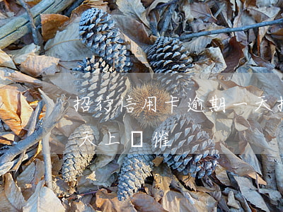 招行信用卡 逾期一天（招商銀行信用卡逾期一天上門催）