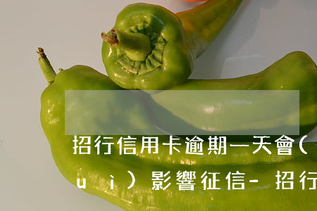 招行信用卡逾期一天會(huì)不會(huì)影響征信-招行信用卡逾期一天會(huì)不會(huì)影響征信記錄