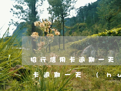 招行信用卡逾期一天會(huì)(招行信用卡逾期一天會(huì)上報(bào)征信嗎)