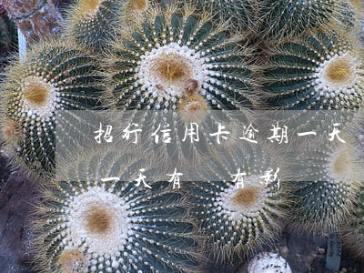 招行信用卡逾期一天會(招商銀行信用卡 逾期一天有沒有影響?)