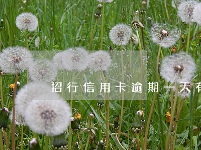 招行信用卡逾期一天有什么影響嗎