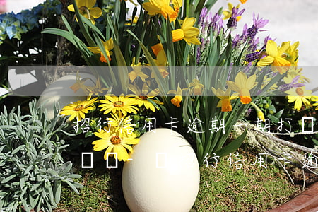 招行信用卡逾期一期打聯(lián)系人電話-當招行信用卡逾期不打電話了