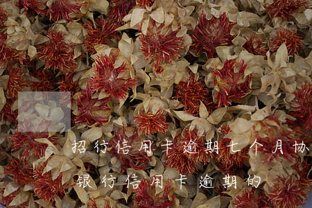 招行信用卡逾期七个月协商还款(有没有招商银行信用卡逾期的)