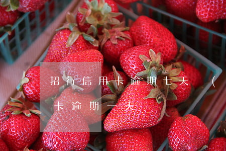 招行信用卡逾期七天內(nèi)(招行信用卡 逾期一天)