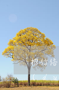 招行信用卡逾期三-招行信用卡逾期三天對(duì)個(gè)人征信有影響嗎?