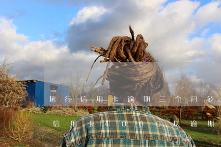招行信用卡逾期三个月多久起诉(欠招商银行信用卡4000块,逾期了3个月,会起诉吗?)