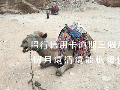招行信用卡逾期三個月還(招行信用卡逾期三個月還清還能恢復使用嗎)