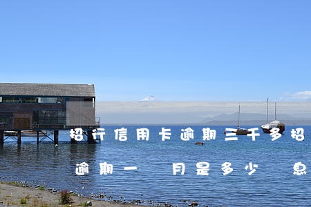 招行信用卡逾期三千多(招行信用卡3000逾期一個月是多少罰息)