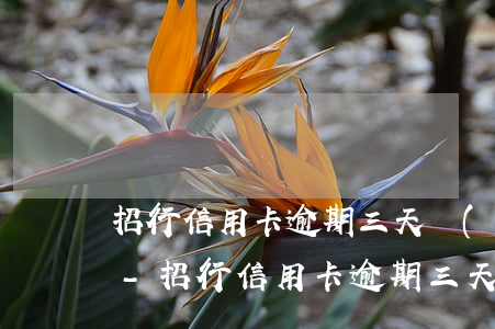 招行信用卡逾期三天會(huì)記錄多久-招行信用卡逾期三天會(huì)記錄多久的賬單