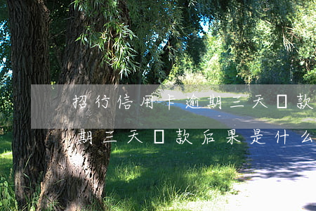 招行信用卡逾期三天還款后果(招行信用卡逾期三天還款后果是什么)