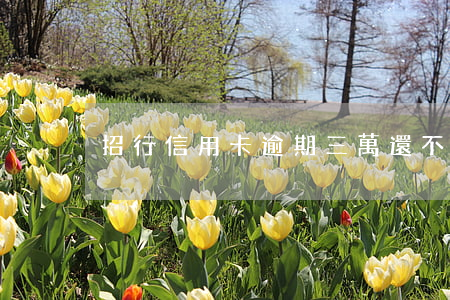招行信用卡逾期三萬還不上