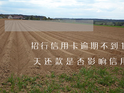 招行信用卡逾期不到1天(招行信用卡逾期1天还款是否影响信用记录?)