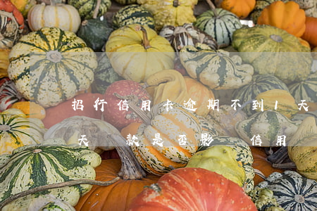 招行信用卡逾期不到1天(招行信用卡逾期1天還款是否影響信用記錄?)