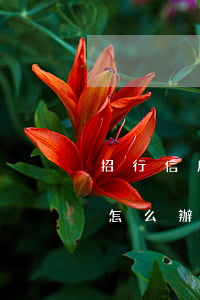 招行信用卡逾期不接受協(xié)商分期怎么辦?-招行信用卡逾期不接受協(xié)商分期怎么辦呢