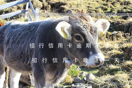 招行信用卡逾期不會在0點-9點扣錢嗎-招行信用卡 晚還一天