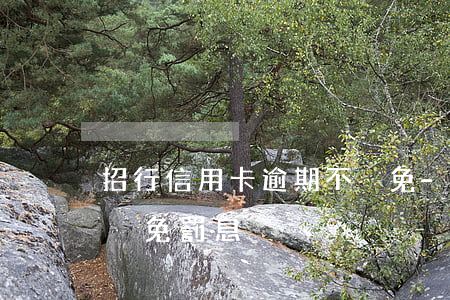 招行信用卡逾期不減免-招行信用卡逾期不減免罰息