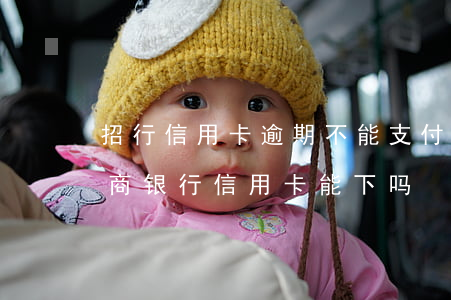 招行信用卡逾期不能支付宝-花呗逾期办招商银行信用卡能下吗