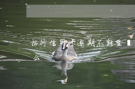 招行信用卡逾期不能登錄網(wǎng)銀么