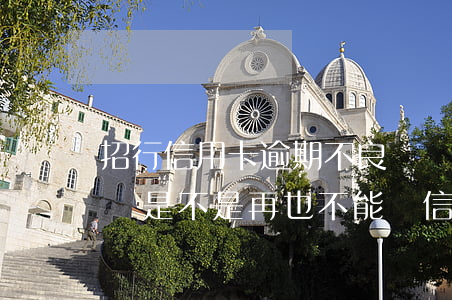 招行信用卡逾期不良記錄知乎上海(招行逾期過是不是再也不能辦信用卡了)