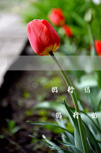 招行信用卡逾期两天还了取不了怎么回事-招行信用卡逾期两天还了取不了怎么回事