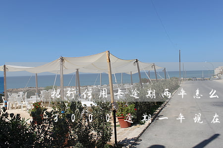招行信用卡逾期两年怎么办(招商银行信用卡3000逾期一年现在还多少)