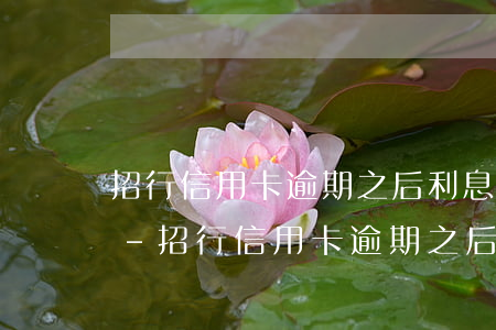 招行信用卡逾期之后利息如何計(jì)算-招行信用卡逾期之后利息如何計(jì)算的