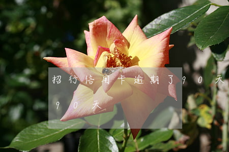 招行信用卡逾期了90天(招行信用卡逾期了90天)