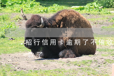 招行信用卡逾期了不催收 招商银行突然不催款了
