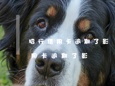 招行信用卡逾期了影響辦銀行卡嗎-招行信用卡逾期了影響辦銀行卡嗎