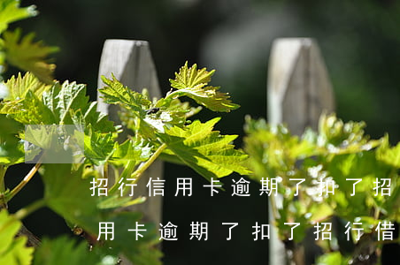 招行信用卡逾期了扣了招行借記卡-招行信用卡逾期了扣了招行借記卡的錢