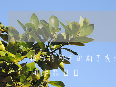 招行信用卡逾期了有什么后果(有逾期招行信用卡能過嗎)