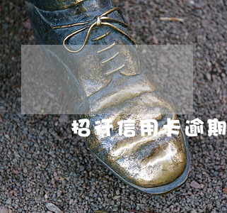 招行信用卡逾期了還不起了(招行信用卡 逾期)