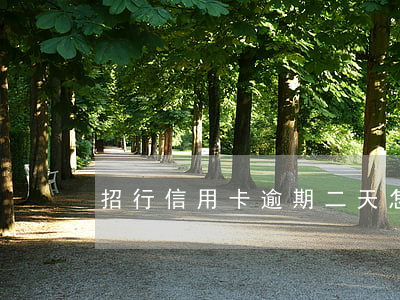 招行信用卡逾期二天怎么辦
