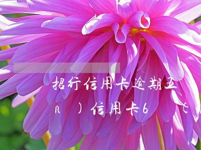 招行信用卡逾期五個(gè)月六萬(wàn)(信用卡6萬(wàn)逾期三個(gè)月)