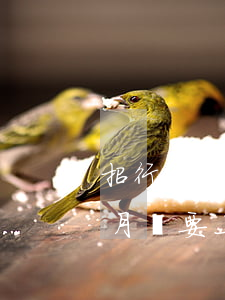 招行信用卡逾期五個月(招行信用卡逾期五個月說要上門)