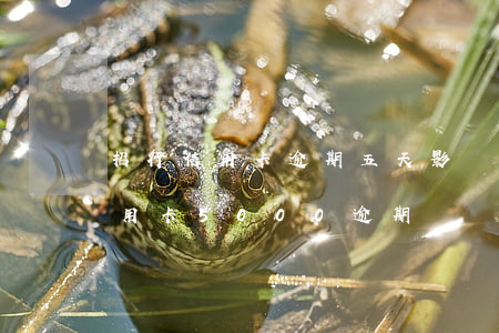 招行信用卡逾期五天影響征信嗎(招商銀行信用卡5000逾期)