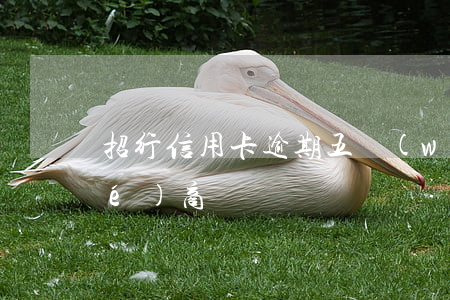 招行信用卡逾期五萬(wàn)能協(xié)商嗎
