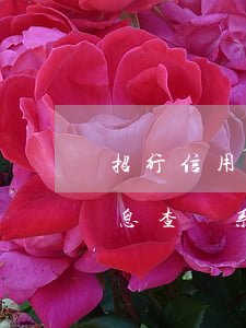 招行信用卡逾期信息查詢(招行信用卡逾期信息查詢系統(tǒng))