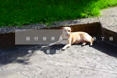 招行信用卡逾期停息了(招行逾期半个月说要我还最低不然停卡)