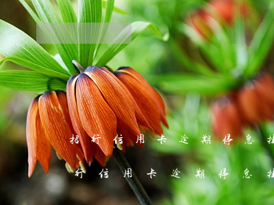 招行信用卡逾期停息挂账最长多少时间?-招行信用卡逾期停息挂账最长多少时间恢复