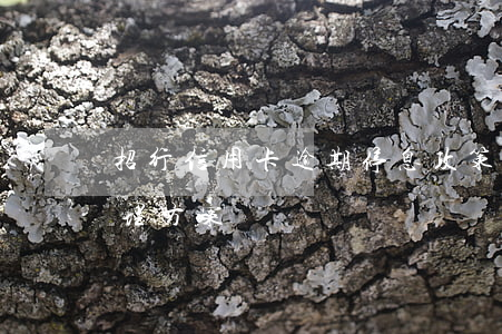招行信用卡逾期停息政策(招行信用卡逾期處理方案)