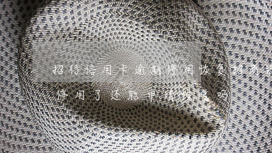 招行信用卡逾期停用恢复(招商银行信用卡被停用了还能申请恢复吗)