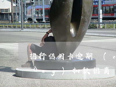 招行信用卡逾期儲(chǔ)蓄卡自動(dòng)扣款(招商銀行儲(chǔ)蓄卡自動(dòng)扣款信用卡)