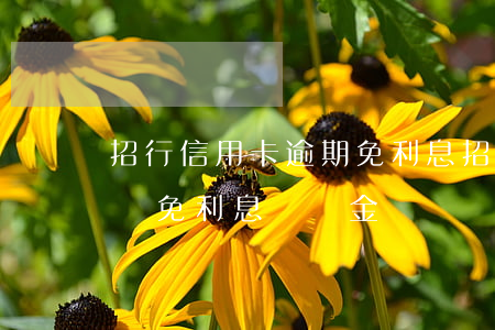 招行信用卡逾期免利息(招商銀行逾期怎么能減免利息違約金)